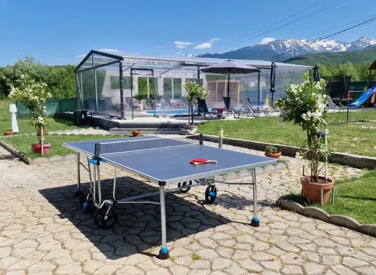 ping-pong-cabana-supporter_result.webp