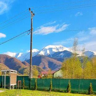 Conexiune cu natura pentru a te simți revigorat este o facilitate de care beneficiaza persoanele ce cauta cazare in Avrig